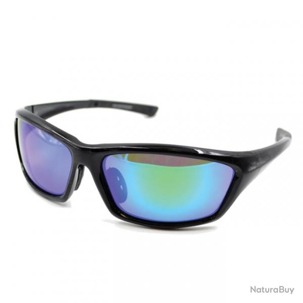 Lunettes polarisantes