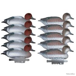 5 formes mâles 5 femelles siffleurs