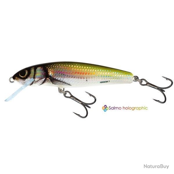 Poisson Nageur Salmo Minnow HBL - Holo Bleak M7S