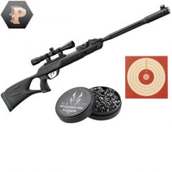 Gamo Roadster IGT 10xGen2 + lunette 4x32 WR + plombs + cibles