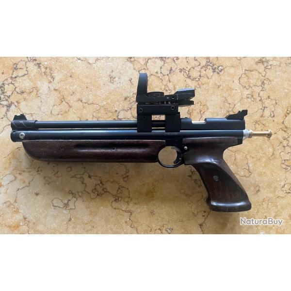 CROSSMAN 1377 CUSTOM