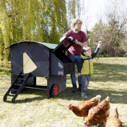 Poulailler surélevé en plastique recyclé 8 à 15 poules