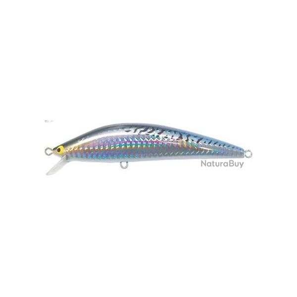 K TEN BLUE OCEAN S [BKS] 175 - 115 FRIGATE MACKEREL