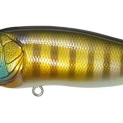 POP MAX - PM WILD GILL