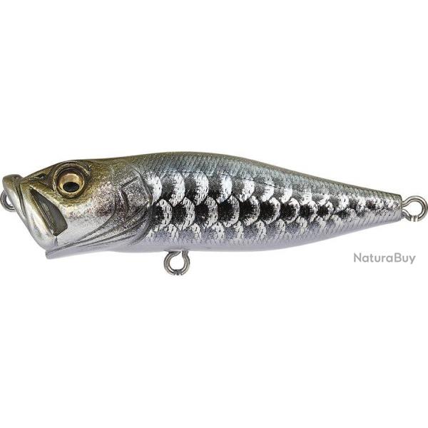 POP X - DRAGON FISH S (SP-C)