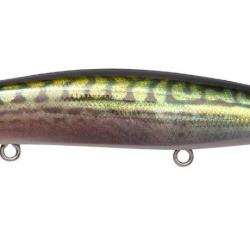 KIRINJI 120 - FA GREEN MACKEREL