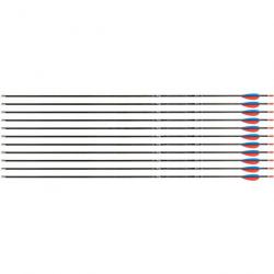 Flèche Avalon Tyro 4.2 en carbone (nouvelles) 1300 28" 1 plume bleue 2 plumes rouges