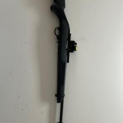 carabine ruger 10 22 Tactical, répétition manuelle catégorie C calibre 22. Long rifle.