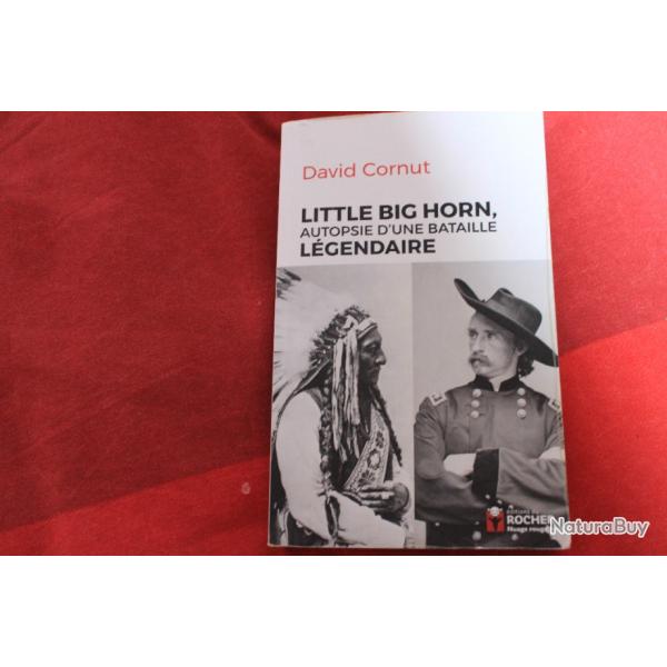 Autopsie d'une bataille "Little Big Horn"