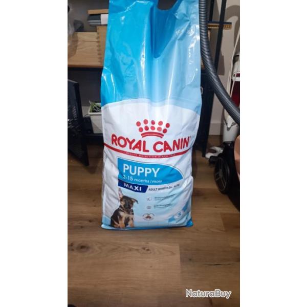 Croquettes Royal Canin Puppy Maxi