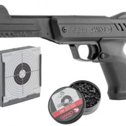 Pack P900 GAMO + cibles et porte cibles + Plombs