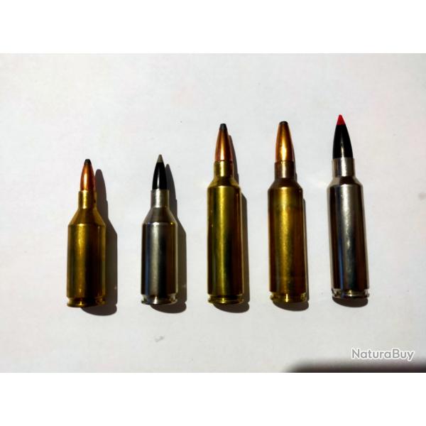 Lot de 5 cartouches winchester short magnum