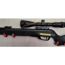 GAMO BIG CAT + RESSORT HAUTE PUISSANCE + LUNETTE 4X28 (offerte)