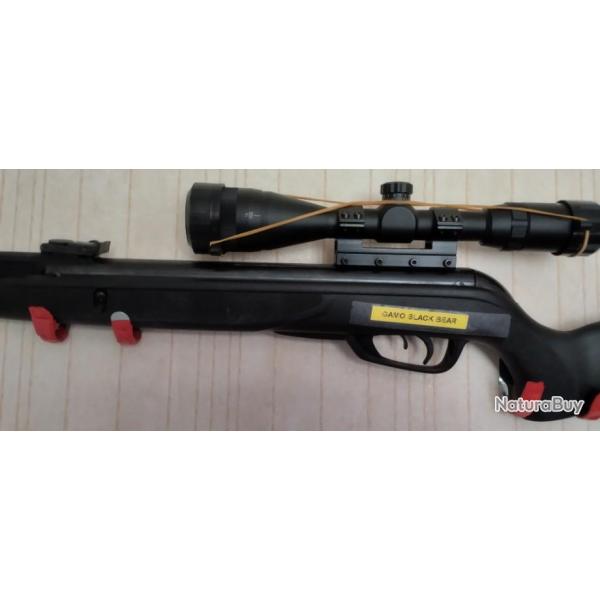 GAMO BIG CAT + RESSORT HAUTE PUISSANCE + LUNETTE 4X28 (offerte)