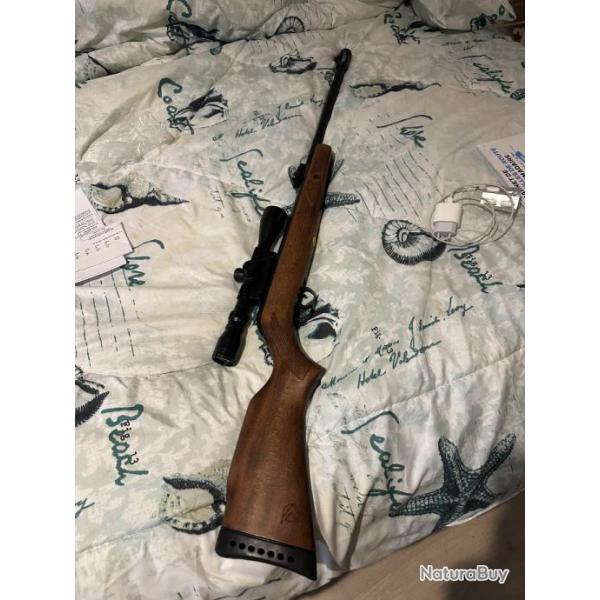 Carabine gamo Hunter