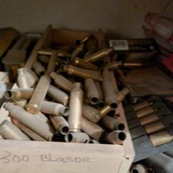 Douilles gros lot 300 blaser