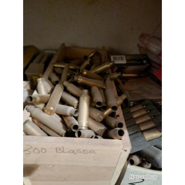 Douilles gros lot 300 blaser