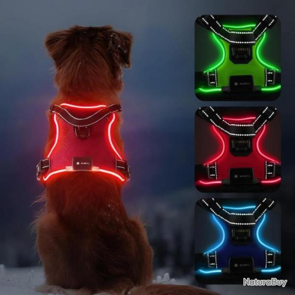 Harnais Chien Lumineux LED Anti Traction Rglable pour Petit Moyen Grand Chien Rflchissant Rouge