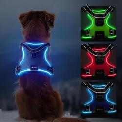 Harnais Chien Lumineux LED Anti Traction Réglable pour Petit Moyen Grand Chien Réfléchissant Bleu