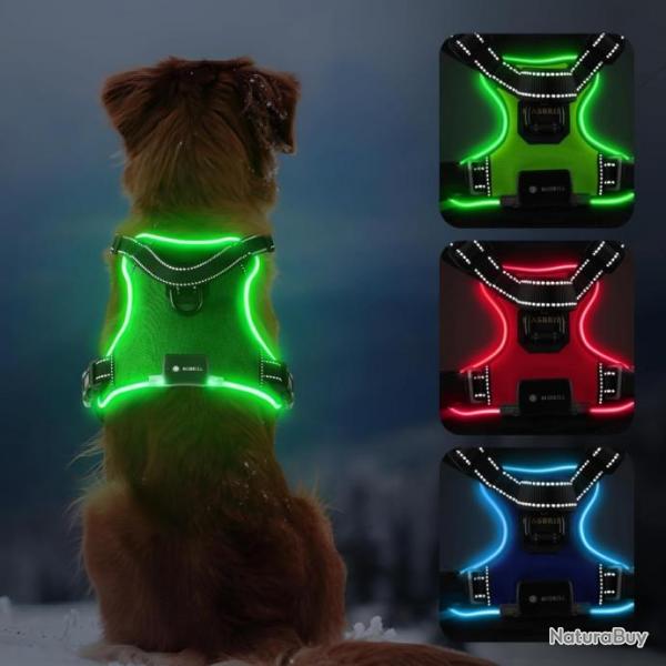 Harnais Chien Lumineux LED Anti Traction Rglable pour Petit Moyen Grand Chien Rflchissant Vert