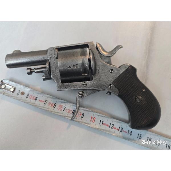 Revolver Bulldog cal 320 barillet 6 coups