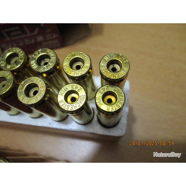 tuis 243 Winchester tirs 1 fois