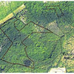 6,1922 ha - FORÊT DU PECH d'ESCAZE - ( 24 ) DORDOGNE