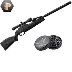 Carabine Gamo Black 10x Maxxim IGT 29J calibre 4.5mm + lunette 3-9x40WR + plombs