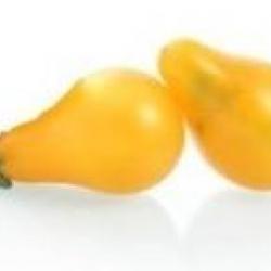 graines de Tomate poire jaune