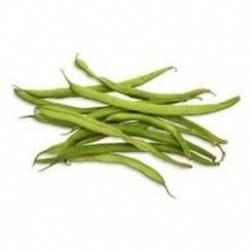 graines d'Haricots verts