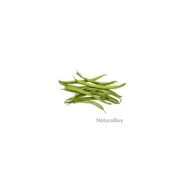 graines d'Haricots verts