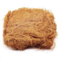 Fibre naturelle de Cocotier - 50g
