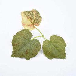 Pack de feuilles d'érable artificielles - 3