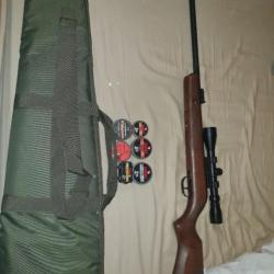 carabine 20j gamo hunter 440 AS