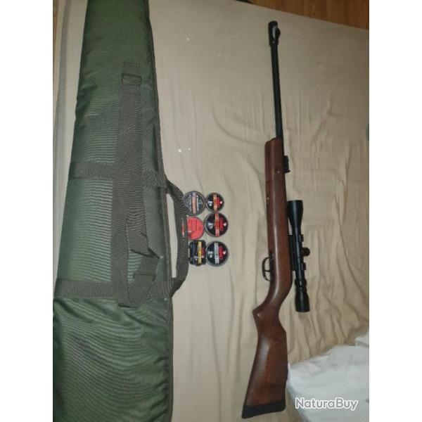 carabine 20j gamo hunter 440 AS