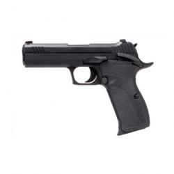 Destock Tir ! SIG SAUER P210 CARRY