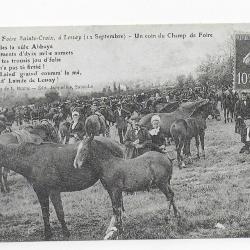 reproduction de carte postale 20éme siècle " champ de foire à Lessay"