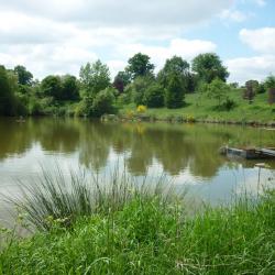 PROPRIETE AVEC ETANG BOIS ET RIVIERE