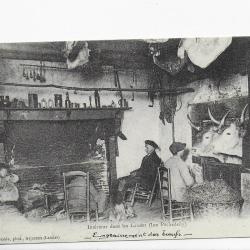 reproduction de carte postale 20éme siècle " l engraissement de boeufs"