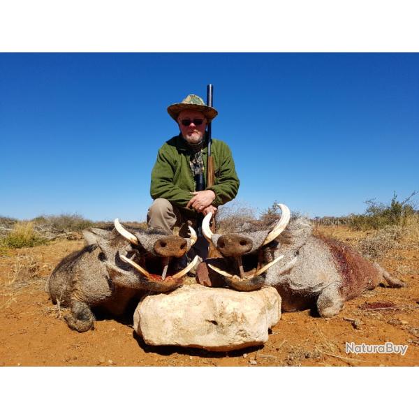 Sjour Chasse en NAMIBIE