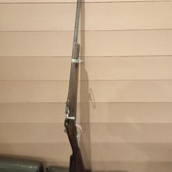 Fusil gras 1866-74