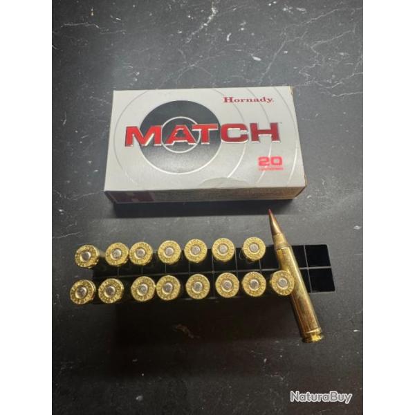 16 munitions Hornady eld match 195 grains, 300 win mag