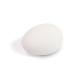 Lot de 2 oeufs factices crème