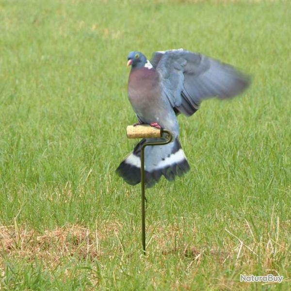 Rouleau lectrique pour pigeons