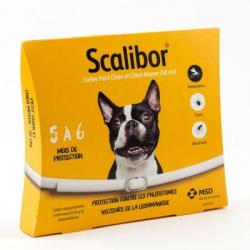 SCALIBOR PT MOY CHIEN