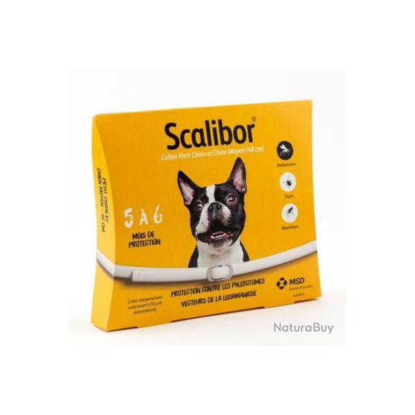 SCALIBOR PT MOY CHIEN