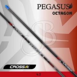 CROSS-X - Tube PEGASUS OCTAGON (x6) 500