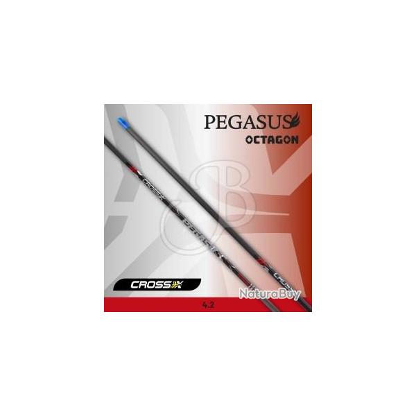 CROSS-X - Tube PEGASUS OCTAGON (x6) 500