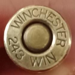 243 Winchester