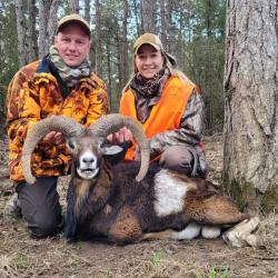 Journée royale chasse domaine proche Reims 8 février